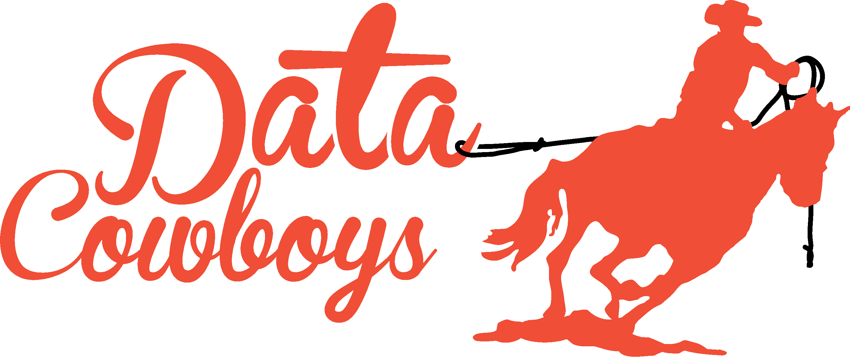 Data Cowboys